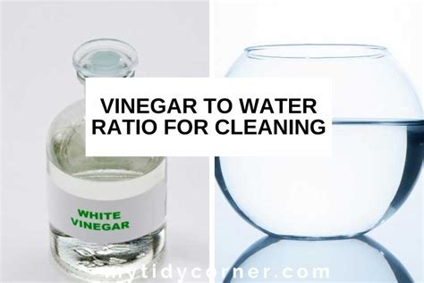 white vinegar water ratio cleaning.